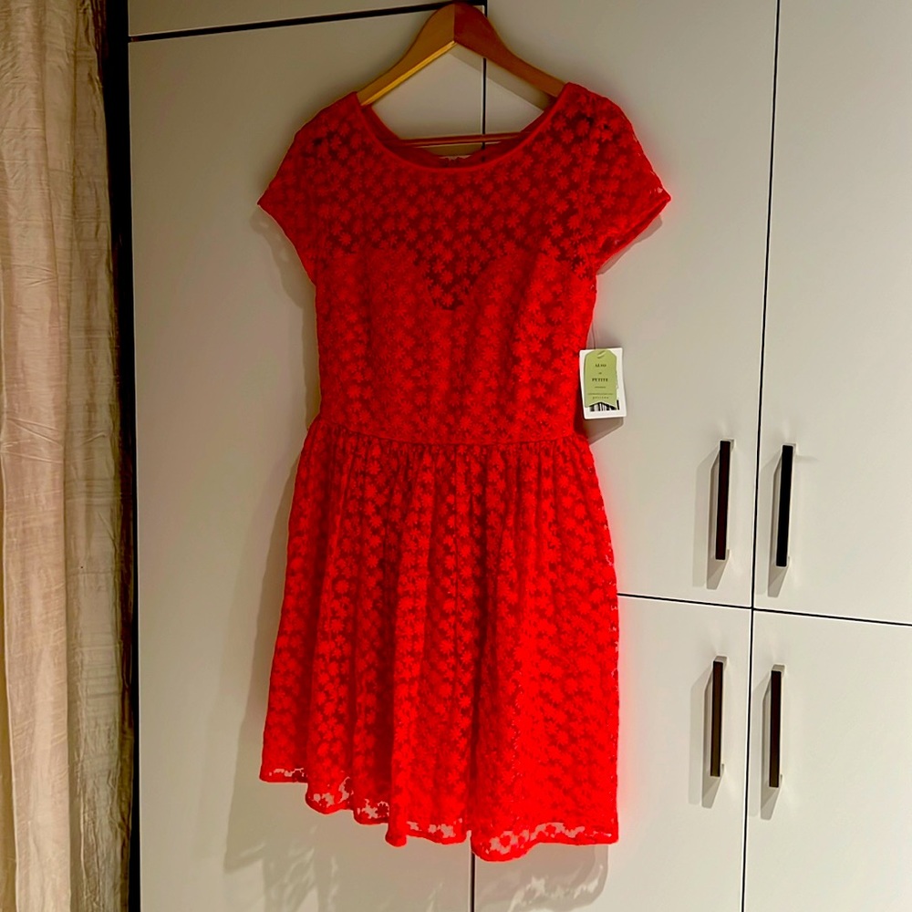 Anthropologie Artelier Pink / Rose Lace Sunday Dress